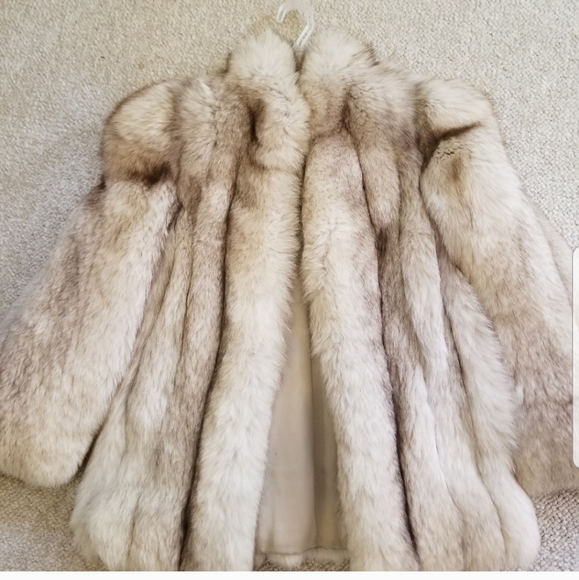 Silver Fox waist length